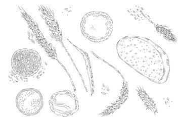 vector hand drawn sketchy illustration of monochrome set of bread and different production isolated on white. Contour only. Food, catering, textile, design element. Printed goods.