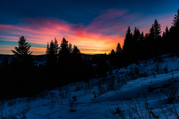 Dawn in winter in the mountains at night among the silhouette of tall trees
