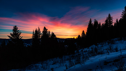 Dawn in winter in the mountains at night among the silhouette of tall trees