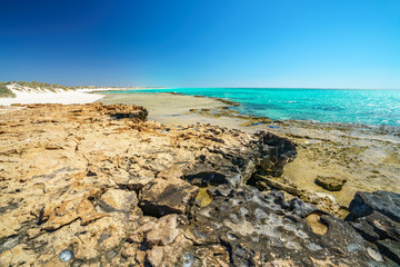Fototapeta na wymiar wild beach at cape range national park, western australia 2
