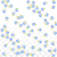 Vector Realistic Blue Petals Falling on Transparent Background.  Spring Romantic Flowers Illustration. Flying Petals. Sakura Spa Design. Blossom Confetti.