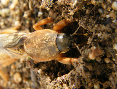 Ralo Images – Browse 34 Stock Photos, Vectors, and Video | Adobe Stock