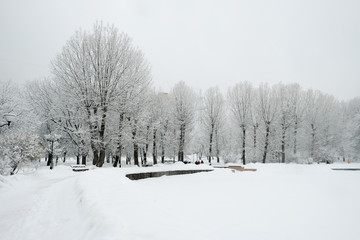 Park in the city covered by snow in winter. Trees, paths, lake, buildings, everything iced