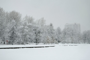 Park in the city covered by snow in winter. Trees, paths, lake, buildings, everything iced