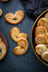 Palmiers 