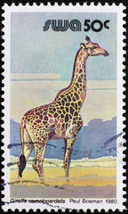 Beautiful giraffe on south african postage stamp