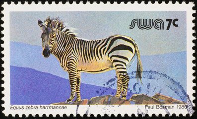 Image of zebra on south african stamp