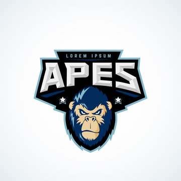 Sport Apes Abstract Vector Sign, Emblem or Logo Template. Classic Sport Team Mascot Label. Angry Gorilla Face with Typography.