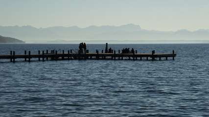 Fototapeta premium Am Starnberger See im Winter