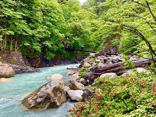 Orillas del río en la montaña