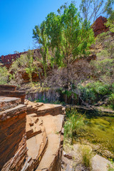 hiking in dales gorge, karijini national park, western australia 6