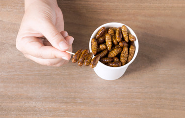 Woman's hand holding disposable cup which containing Silkworm Pupae. Worm fried crispy for...