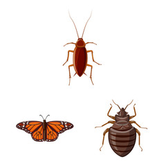 Isolated object of insect and fly logo. Collection of insect and element stock vector illustration.