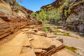 hiking in dales gorge, karijini national park, western australia 15