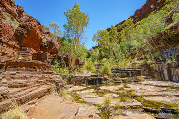 Fototapeta na wymiar hiking in dales gorge, karijini national park, western australia 32