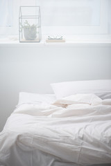 bedroom with pillow and white blanket on cozy bed, plant and glasses