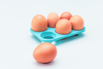 the pack of eggs in plastic packaging with white background