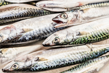 Poisson frais sur un étal, marché la Boqueria de Barcelone
