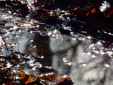 R&eacute;verb&eacute;rations de flaques en lac