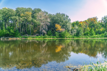 Shore of the Forest River on a sunny day. Summer landscape. Forest by the river