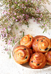 Vanilla Buns with Chocolate