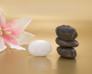Obraz na płótnie Canvas aroma, plant, wellness, symbol, stone, stability, soothing, relaxation, relax, pebble, balance, orchid, natural, flora, feminine, concept, blossom, being, beauty, white