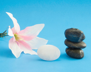Peaceful setting with floral and rocks to iillustrate calmness and peace .