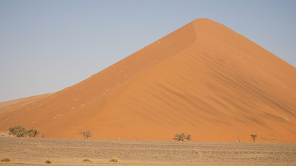 Fototapeta na wymiar Elim Dune sand dune in Sossusvlei, Namibia, Africa.