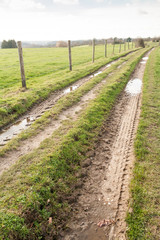 rural road through country dirttrack way through nature landscape background
