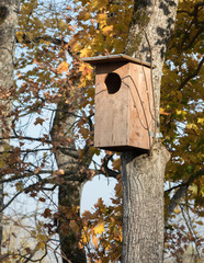 Wooden nesting box.Nesting  boxes for owls can be lifted all year long, but now it is likely that owls will be able to settle in this spring.