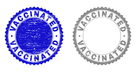 Grunge VACCINATED stamp seals isolated on a white background. Rosette seals with grunge texture in blue and gray colors. Vector rubber watermark of VACCINATED text inside round rosette.