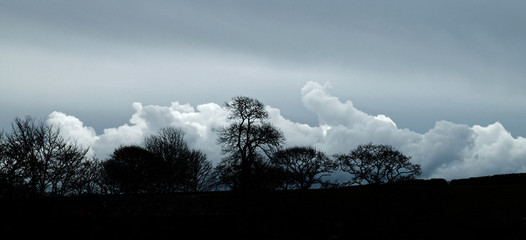 Fototapeta premium Coast and Countryside.