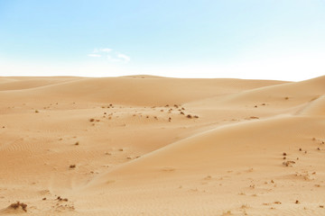 Picturesque landscape of sandy desert on hot day