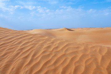 Fototapeta na wymiar Picturesque landscape of sandy desert on hot day