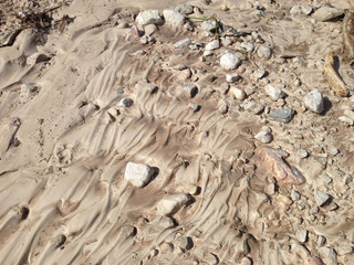 footprints in the sand