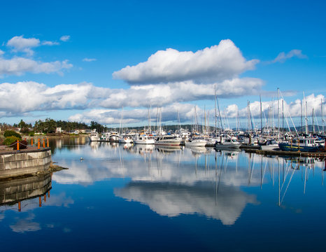 Boats moored in a harbor, Sidney, British Columbia, Canada