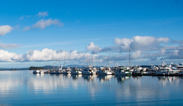 Boats moored in a harbor, Sidney, British Columbia, Canada