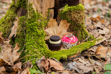 Cupcake cakes in the middle of forest on a moss dark cream with a biscuit and pink black cakes for a wedding ceremony