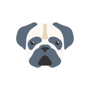 Illustration or icon of pug mops cute dog pattern