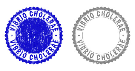 Grunge VIBRIO CHOLERAE stamp seals isolated on a white background. Rosette seals with grunge texture in blue and gray colors. Vector rubber watermark of VIBRIO CHOLERAE title inside round rosette.