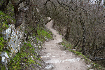 Forest rocky path leading up to the mountain in southern Moravia surrounding the abandoned castle Stony road full of trees