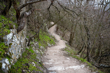 Forest rocky path leading up to the mountain in southern Moravia surrounding the abandoned castle Stony road full of trees