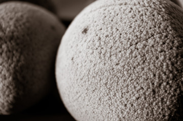 Frozen oranges and lemons on a red plate, covered in frost