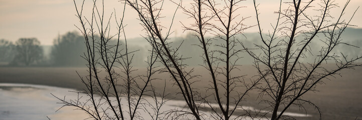 tree branches on a blurred background of a winter landscape.
