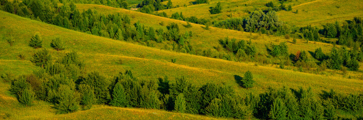 Deciduous forests and meadows in hilly areas.