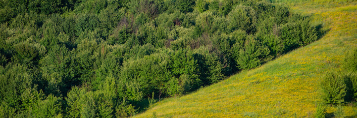 Fototapeta na wymiar Deciduous forests and meadows in hilly areas.