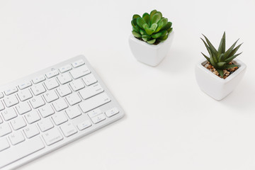 Computer keyboard and succulent flower isolated on white textured background