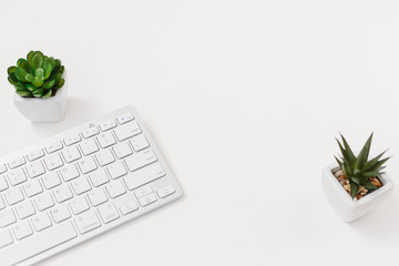 Computer keyboard and succulent flower isolated on white textured background