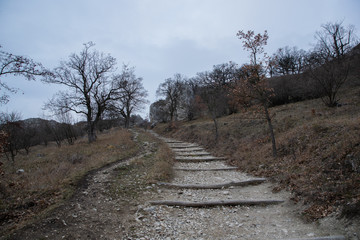 Fototapeta na wymiar The rocky road in South Moravia, situated on the hillside of Devin, is a panorama of the vast surroundings