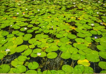  parks in alexandria city